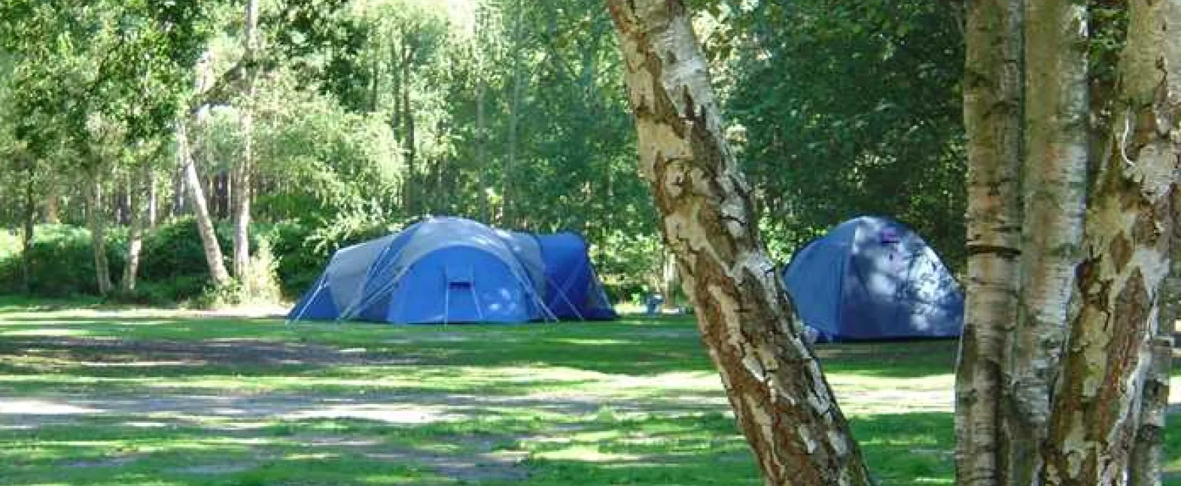 Wellington Country Park