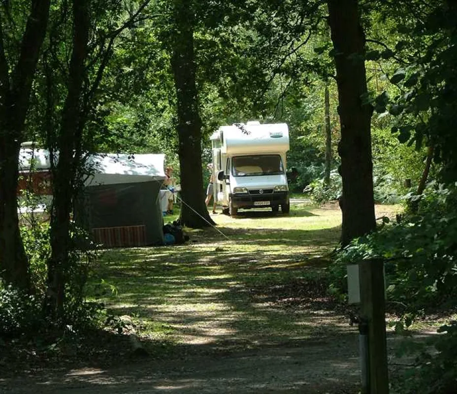 Wellington Country Park