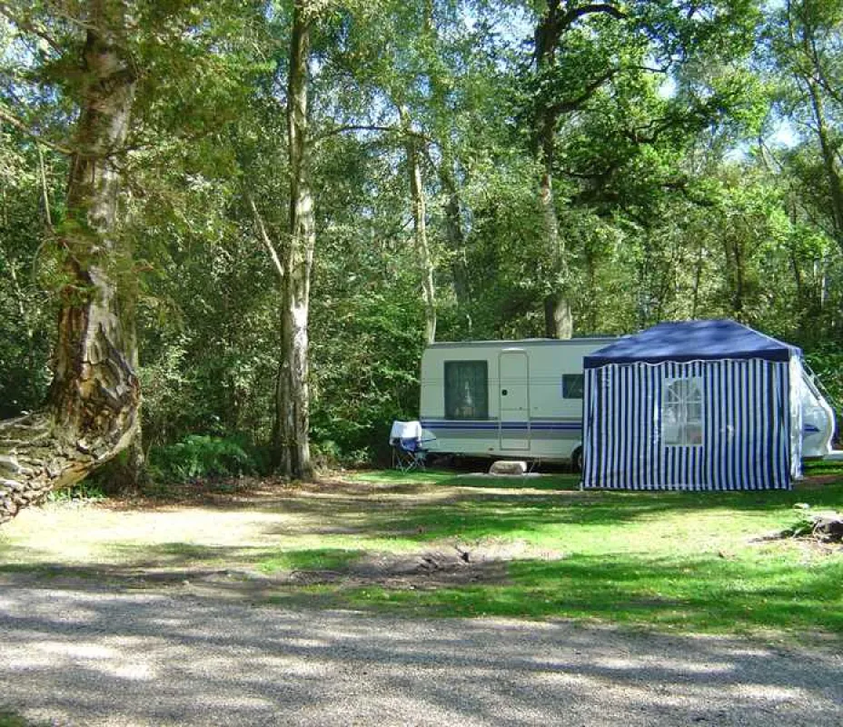 Wellington Country Park