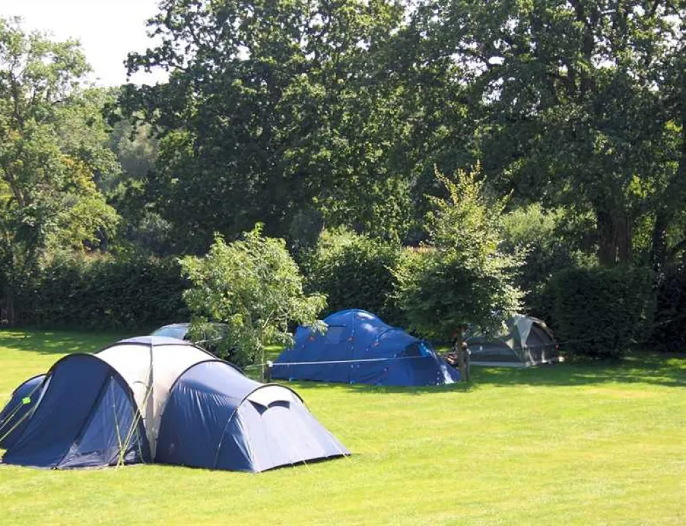 St Leonards Farm Caravan and Camping Park