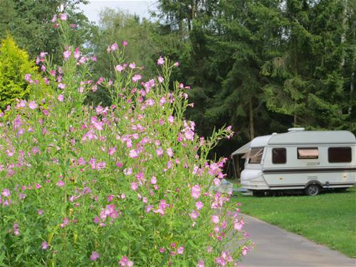 Camping Wesertal photo 3