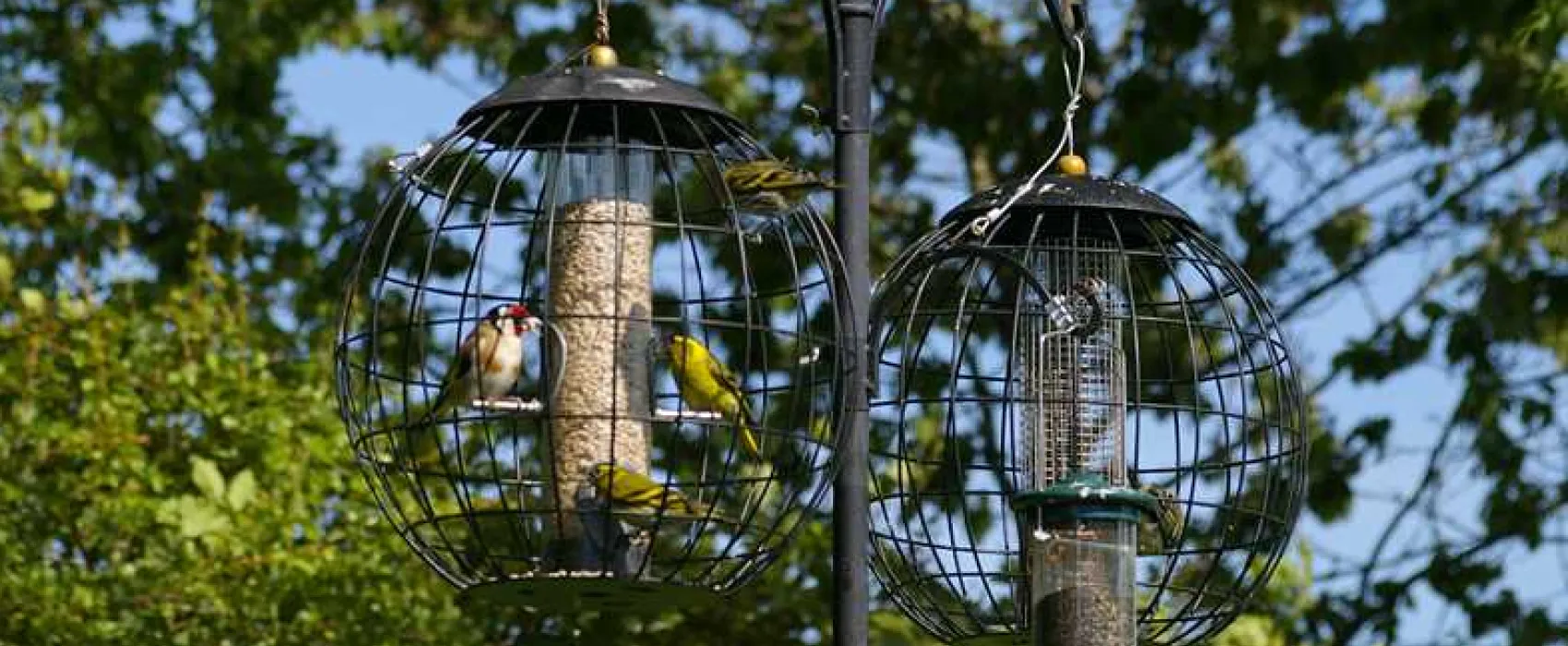 Lydford Caravan and Camping Park