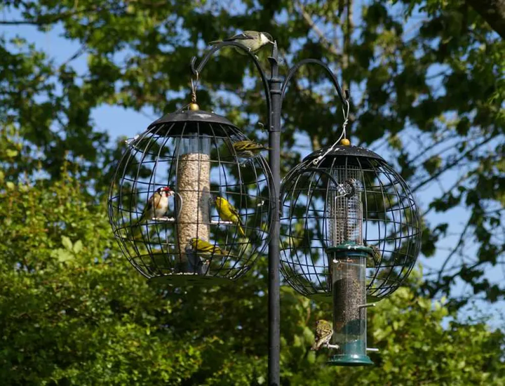 Lydford Caravan and Camping Park