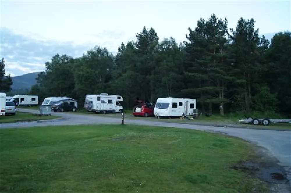 Pine Marten Bar Glenmore Glamping