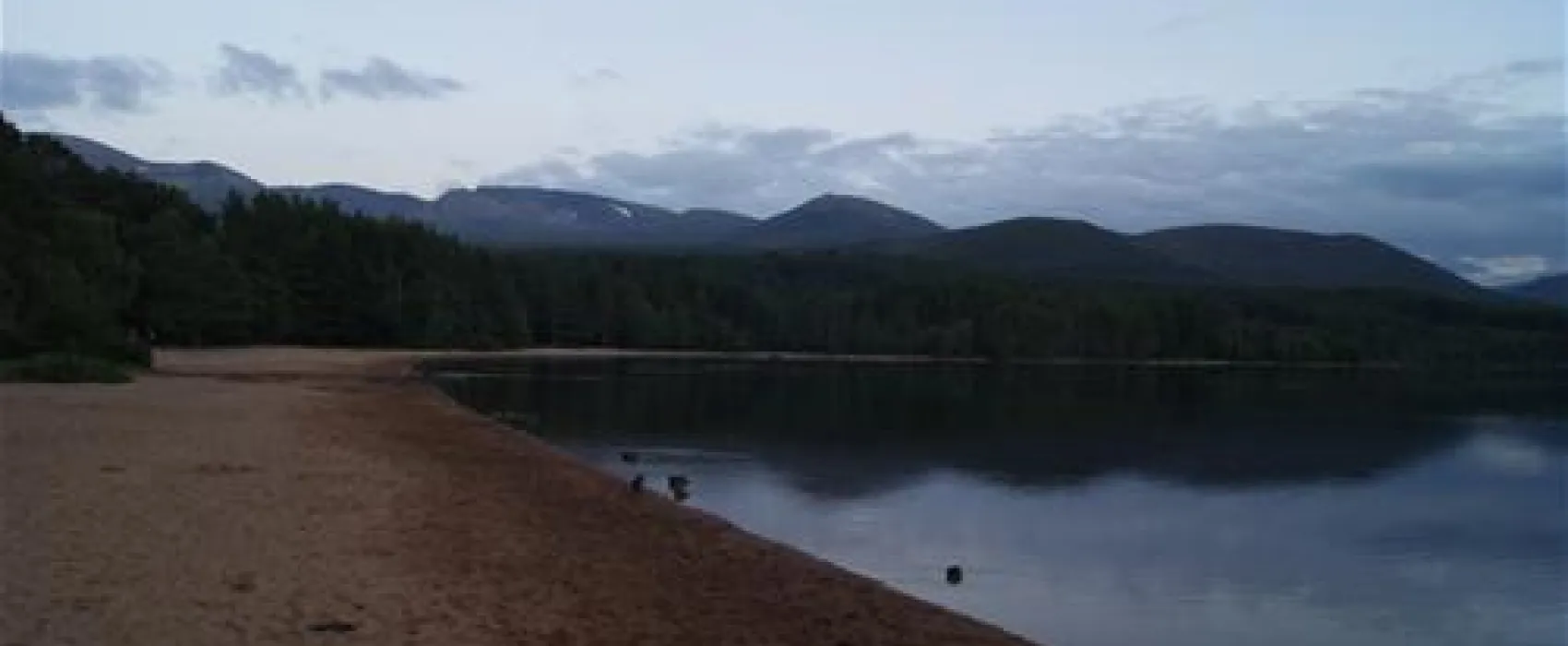 Pine Marten Bar Glenmore Glamping