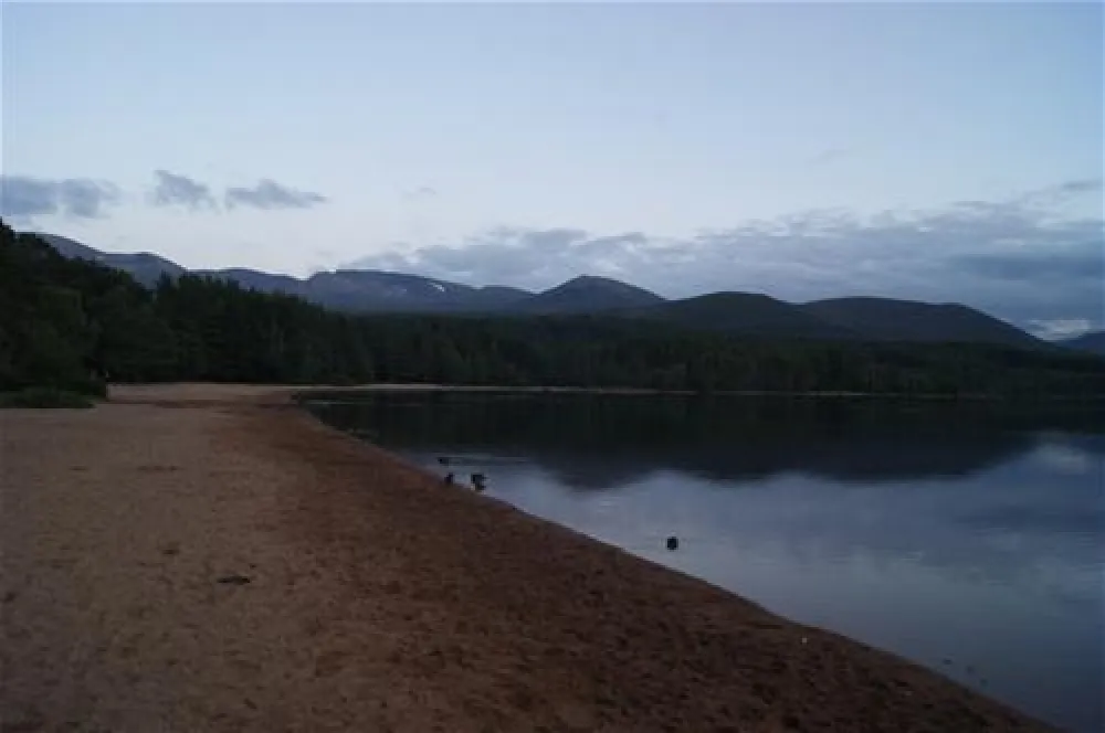 Pine Marten Bar Glenmore Glamping