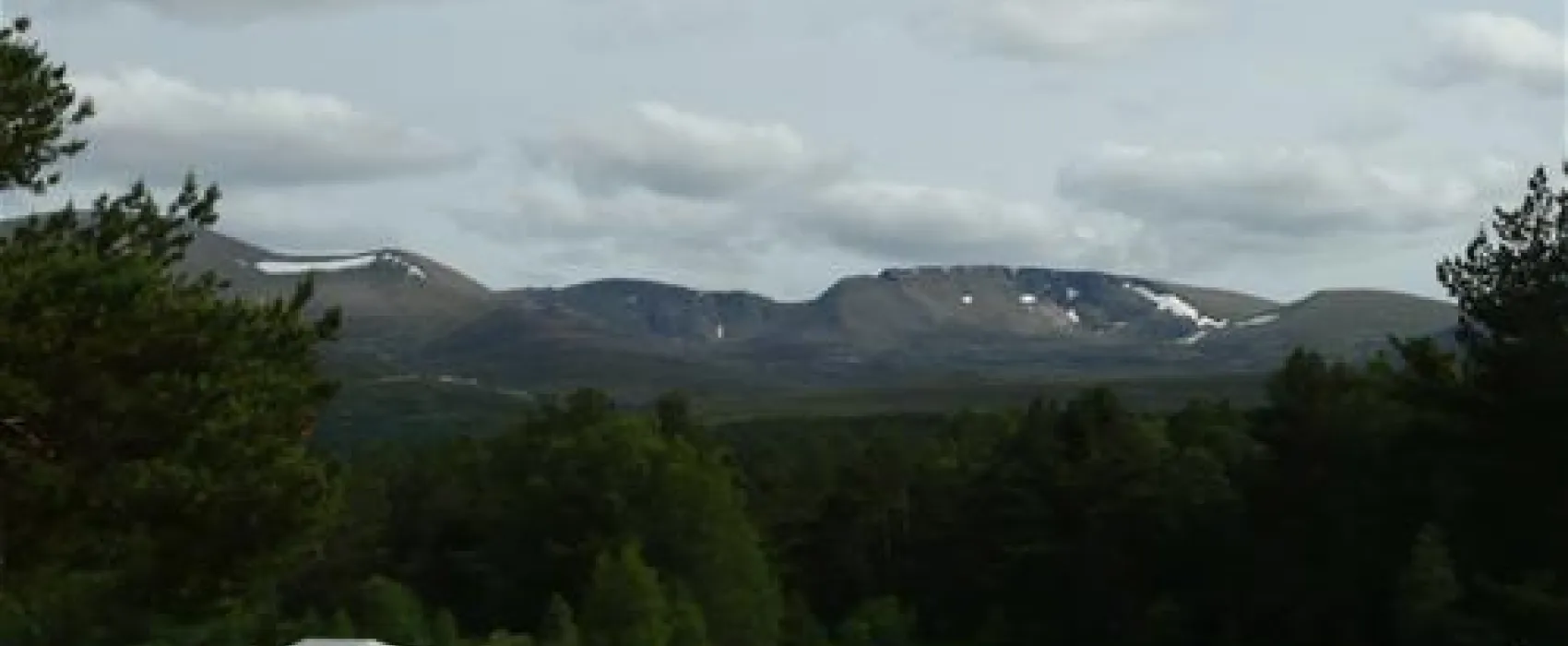 Pine Marten Bar Glenmore Glamping