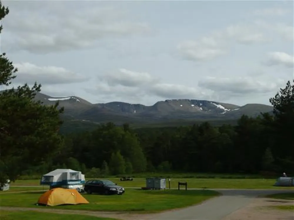 Pine Marten Bar Glenmore Glamping