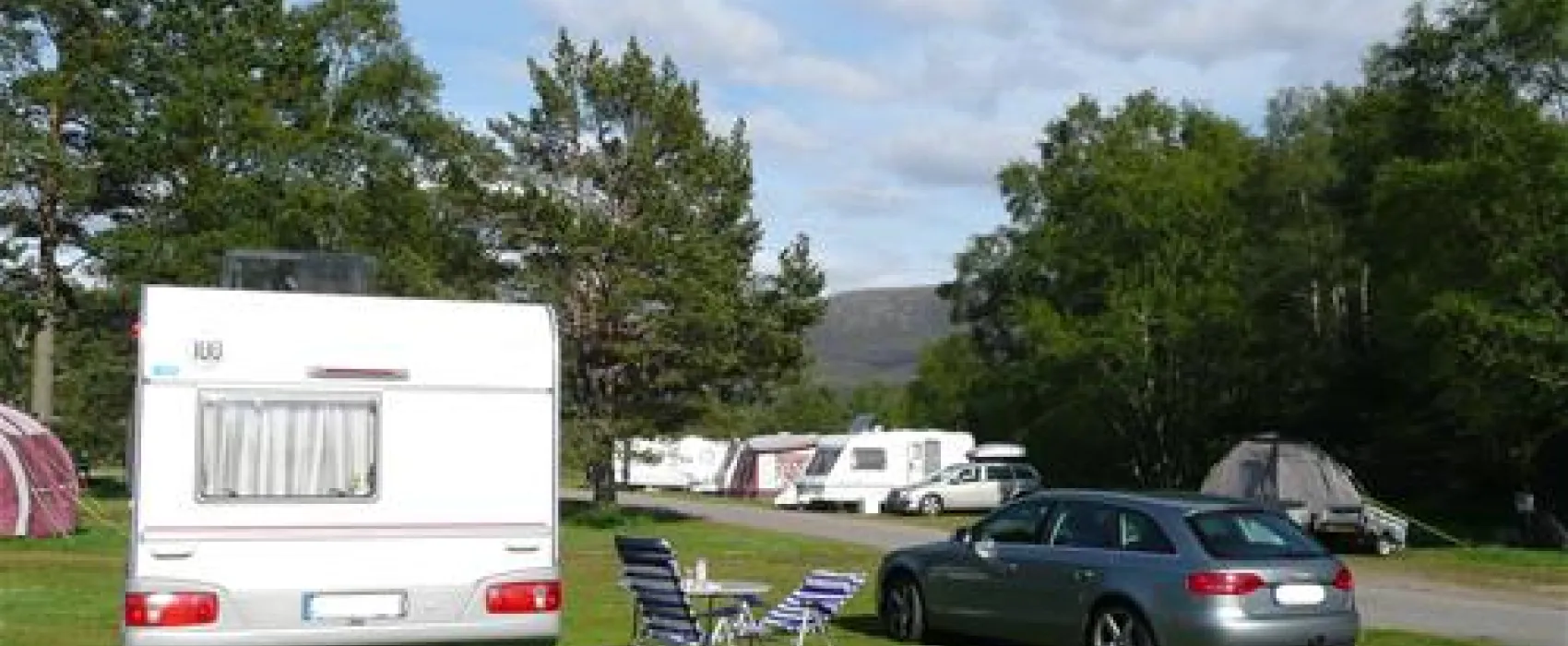 Pine Marten Bar Glenmore Glamping