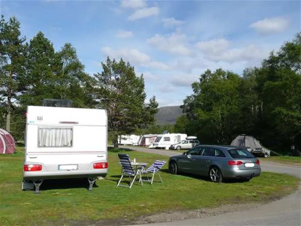 Pine Marten Bar Glenmore Glamping