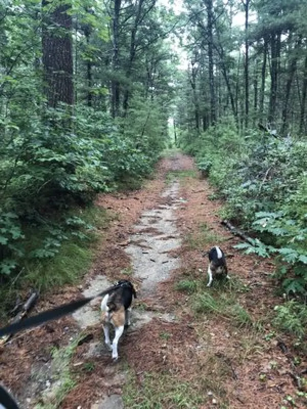 Massasoit State Park