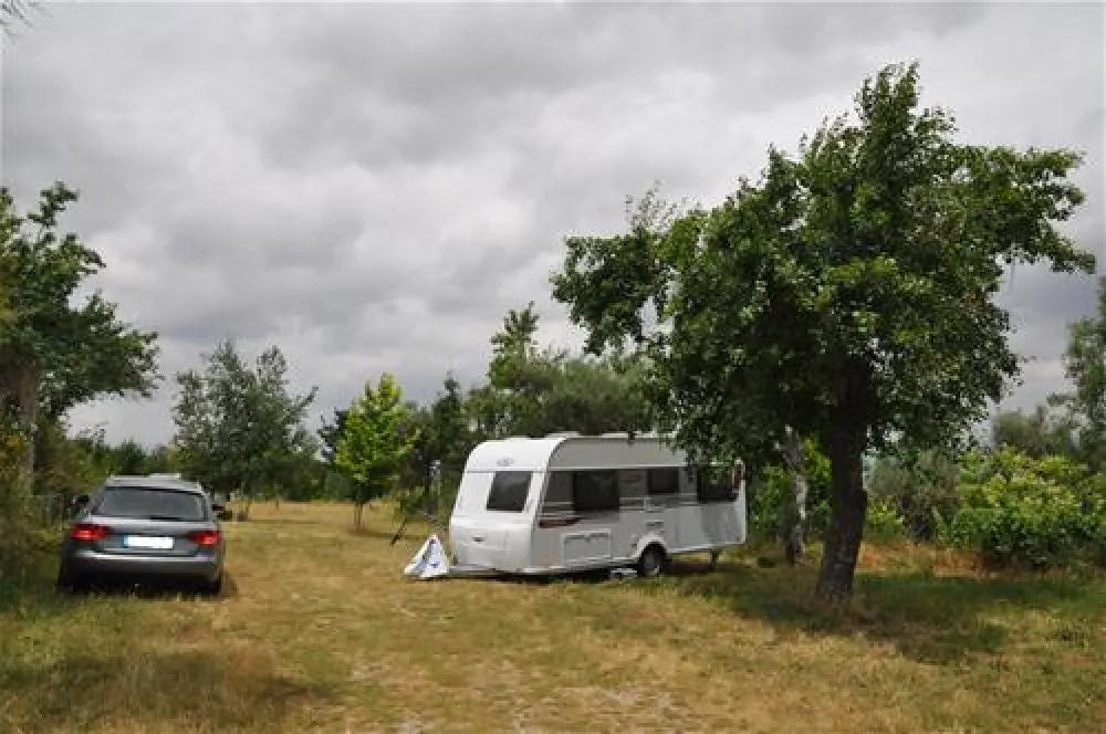 Parque de Campismo Quinta das Cegonhas
