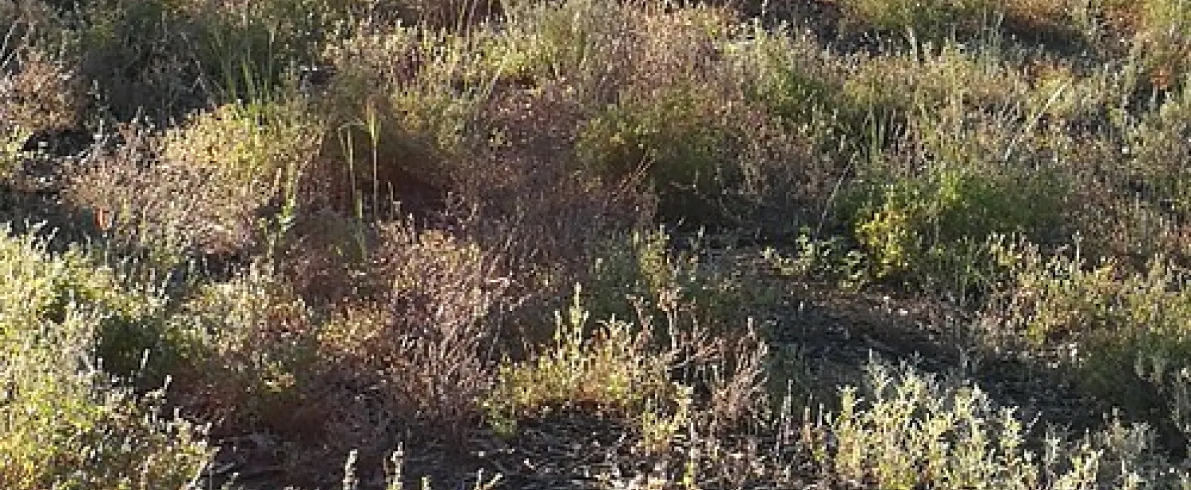 Sandy Point Reserve Campground