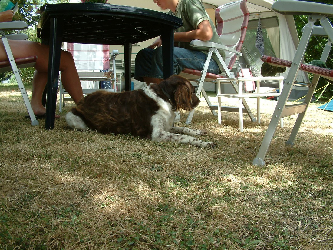 Camping Maisonneuve photo 4