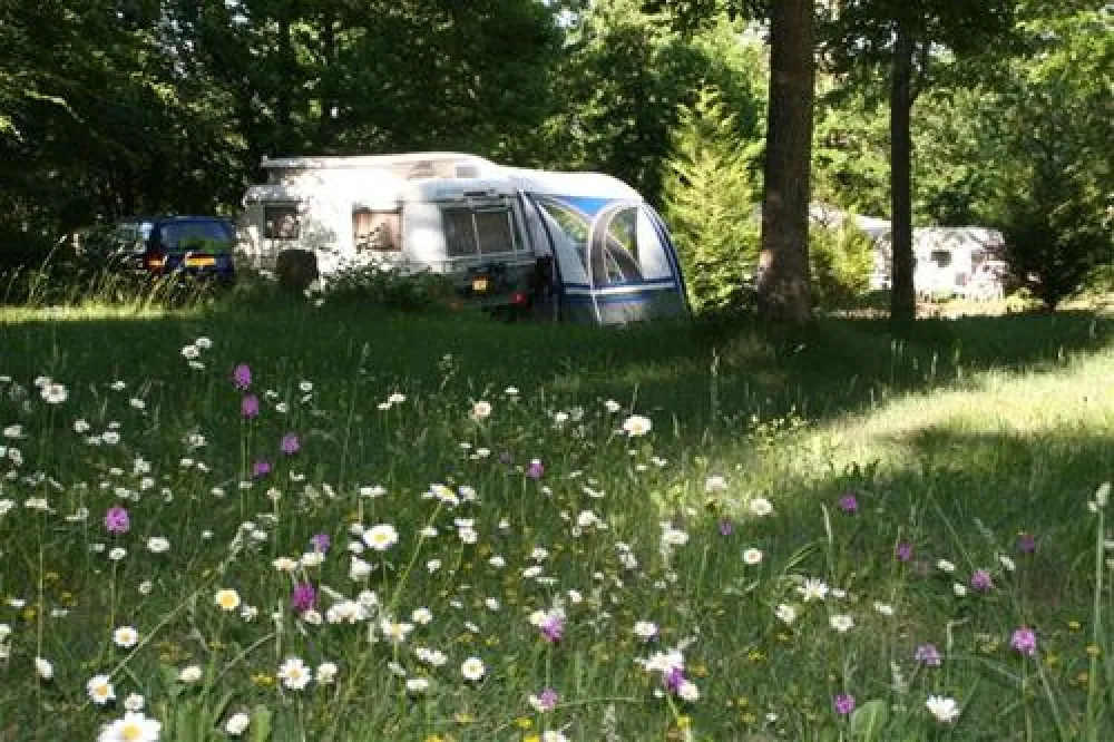 Camping Au Bois Joli