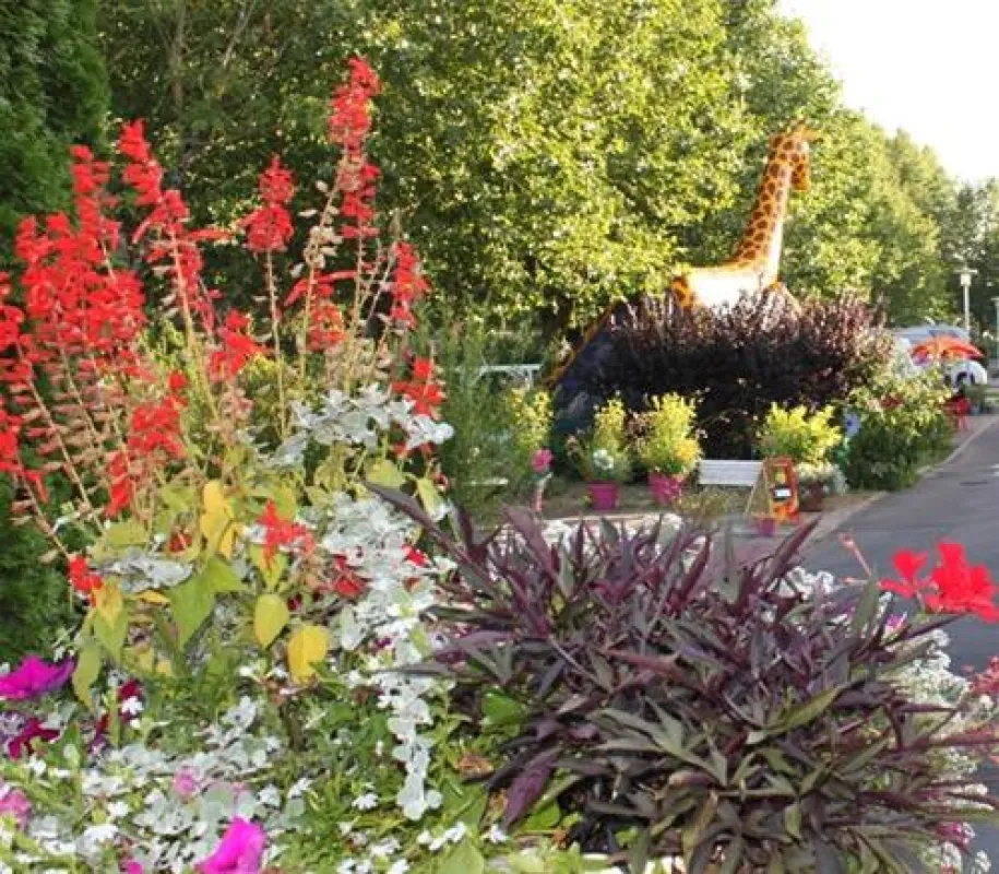 Camping La Chevrette  