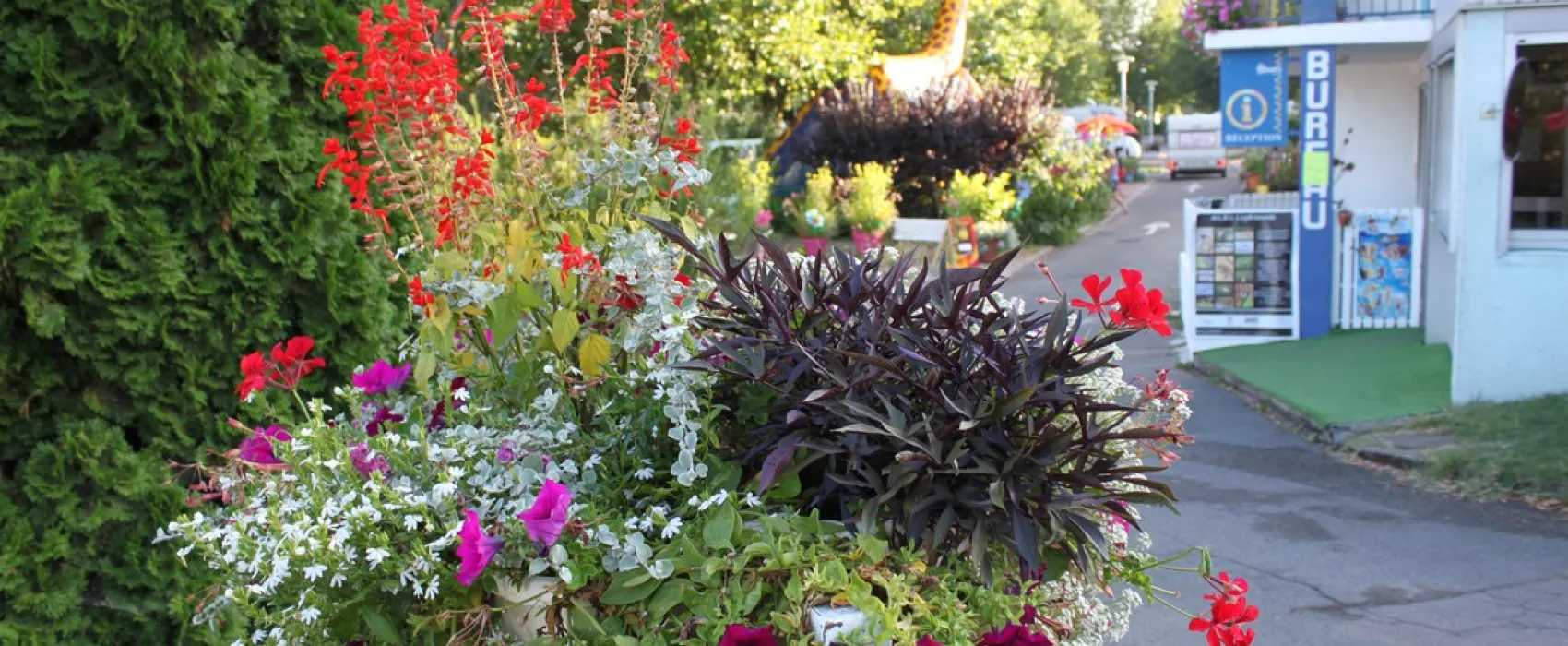 Camping La Chevrette  