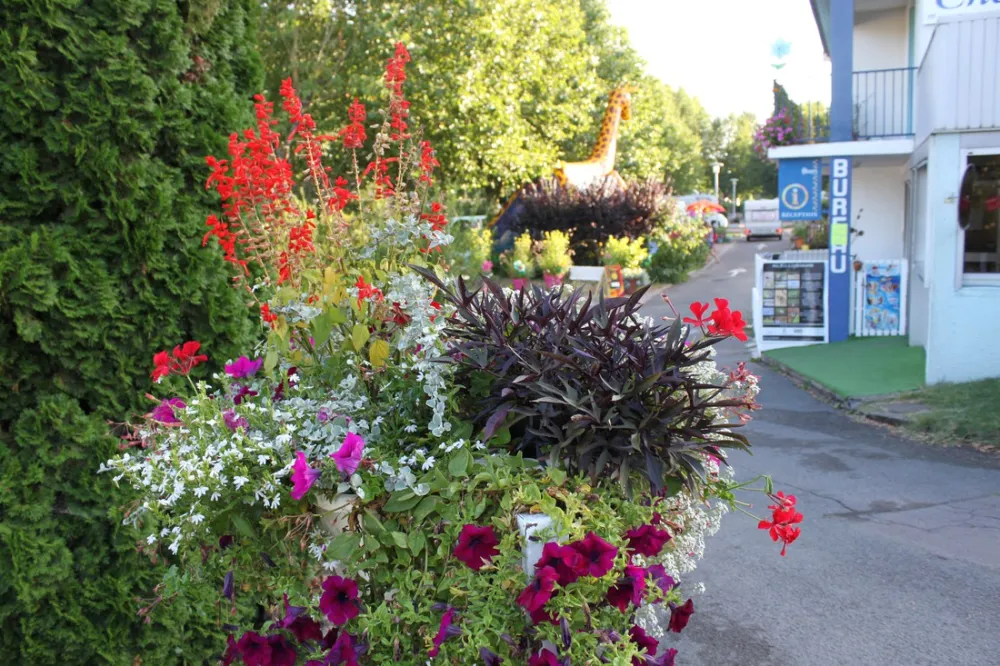 Camping La Chevrette  