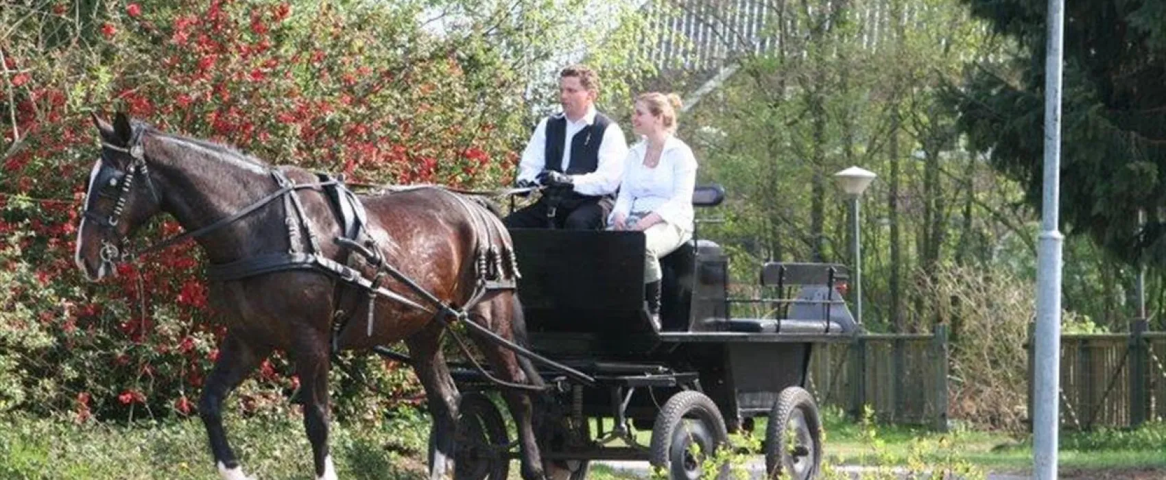 Recreatie Te Boomsgoed