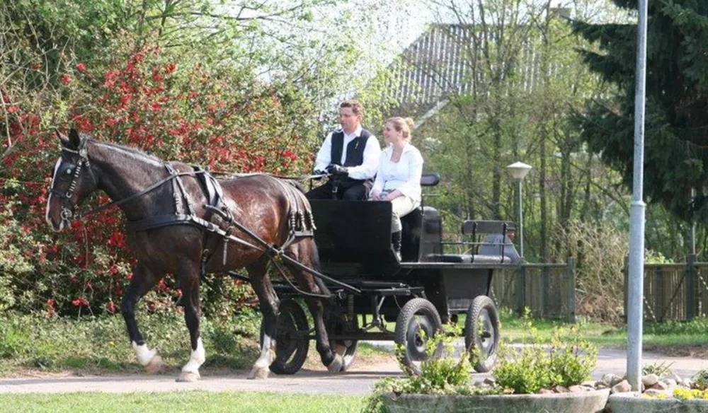 Recreatie Te Boomsgoed