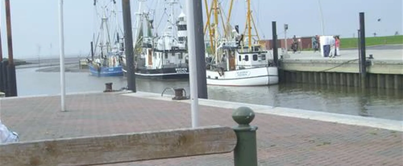 Camping Wremer Tief am Nordseestrand