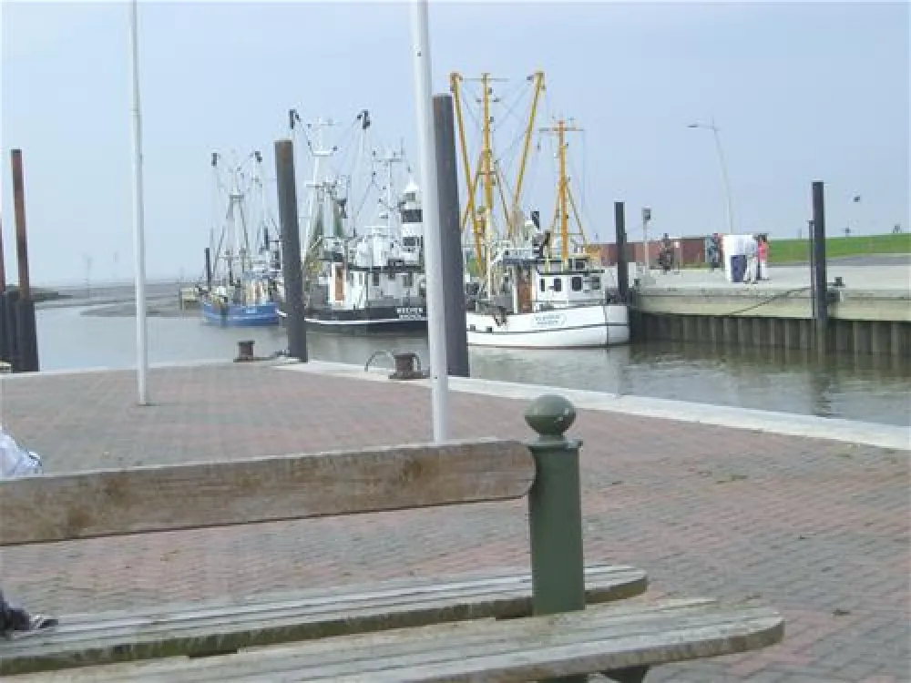 Camping Wremer Tief am Nordseestrand