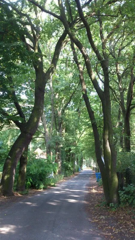 Campingplatz Himmelreich Wentorfinsel