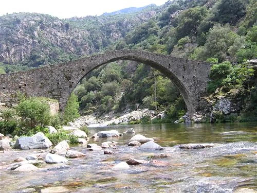 Camping Sole E Vista