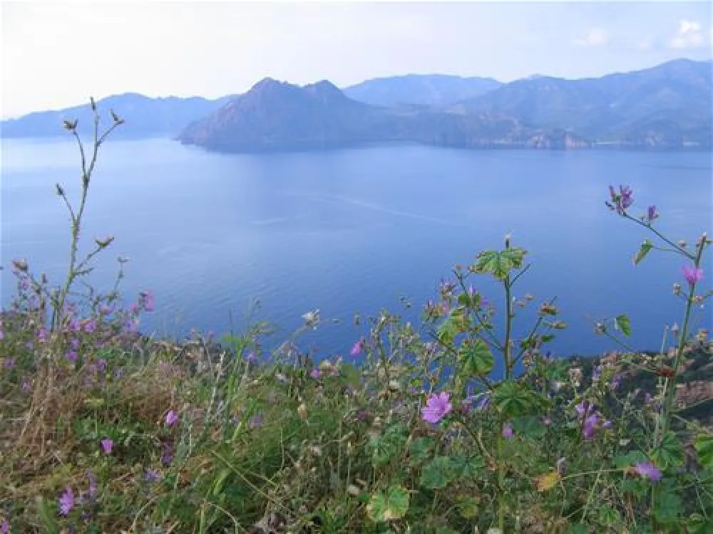 Camping Sole E Vista