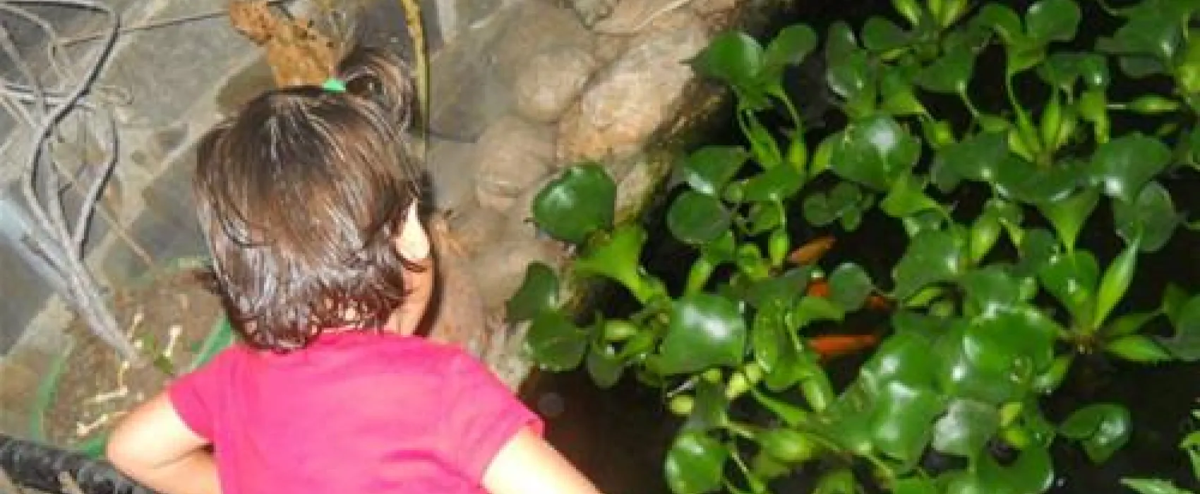 Camping Huerta Romero