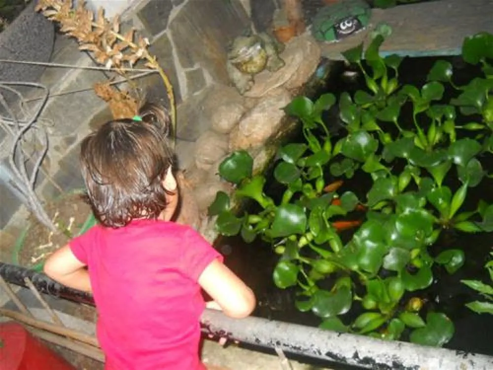 Camping Huerta Romero