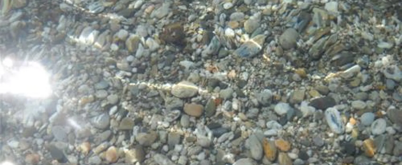 Camping Huerta Romero