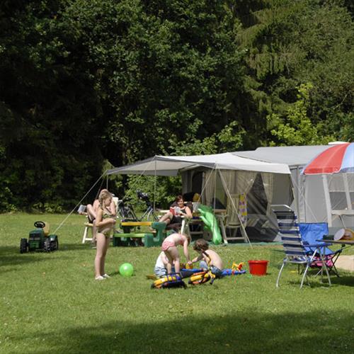 Camping De Wildhoeve in the Netherlands - Spottocamp - Spottocamp