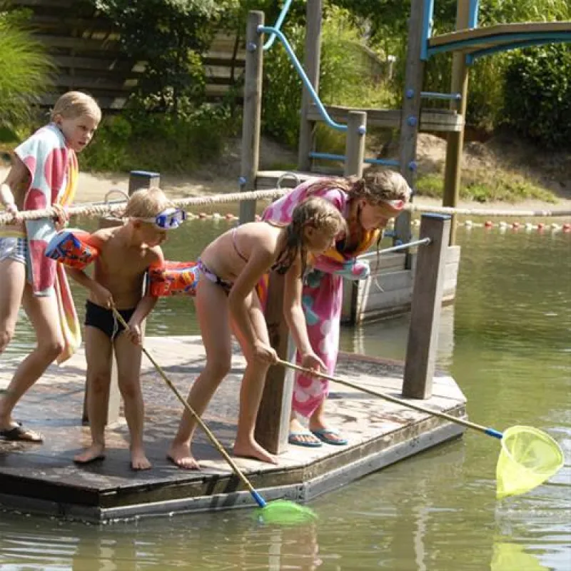 Camping De Wildhoeve