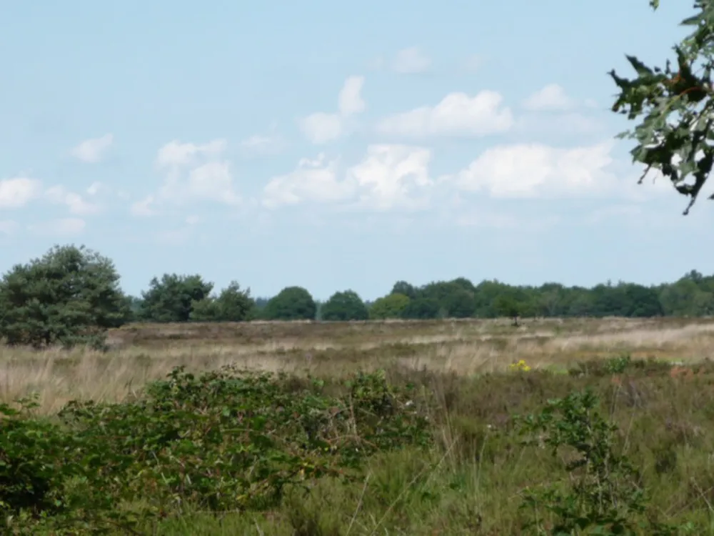 Camping De Wildhoeve