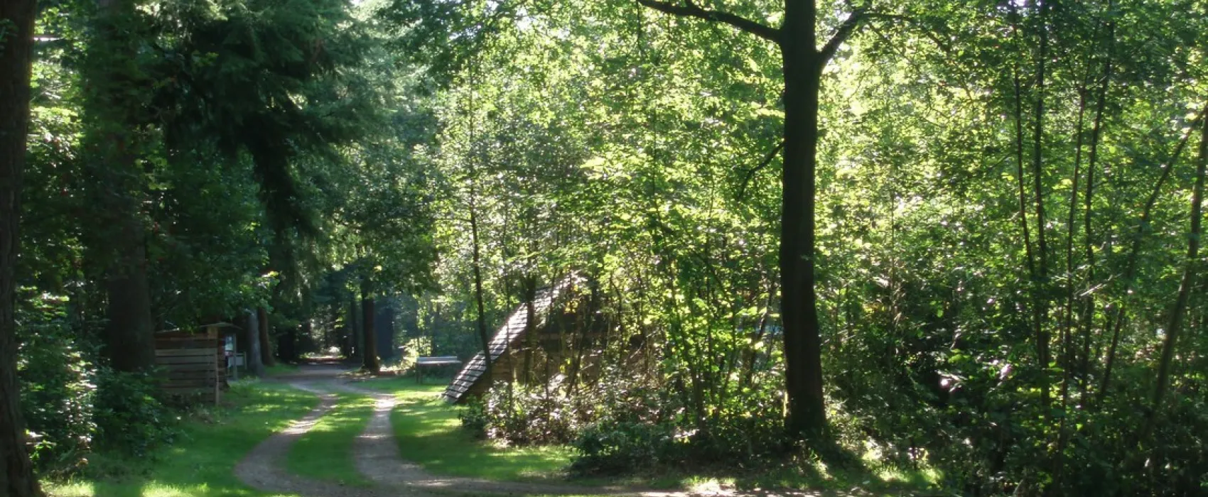 Natuurkampeerterrein De Dassenburcht