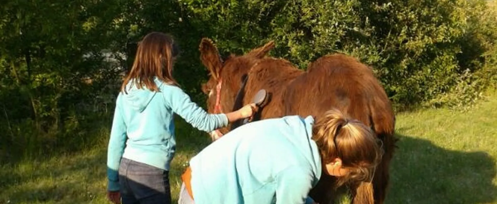 Camping de la Ferme de Prunay  