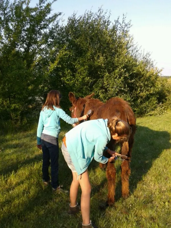 Camping de la Ferme de Prunay  