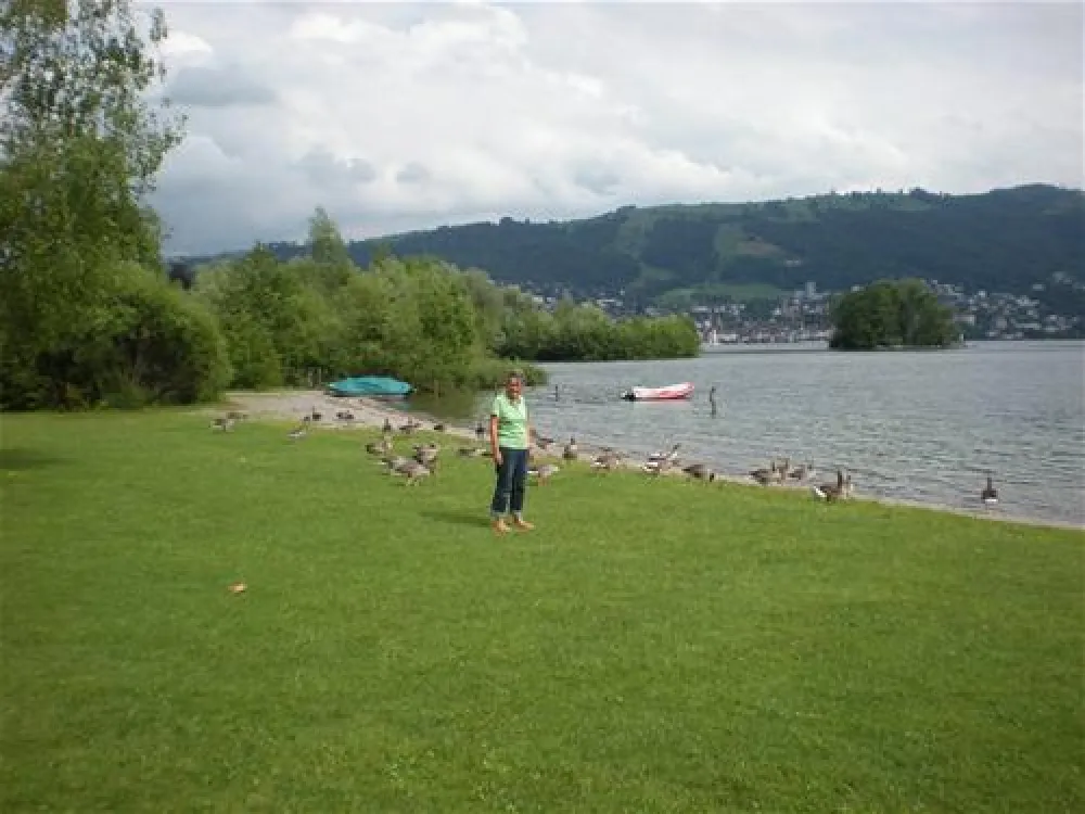 TCS Camping Zugersee