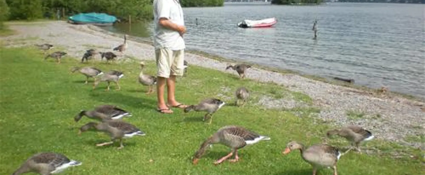 TCS Camping Zugersee