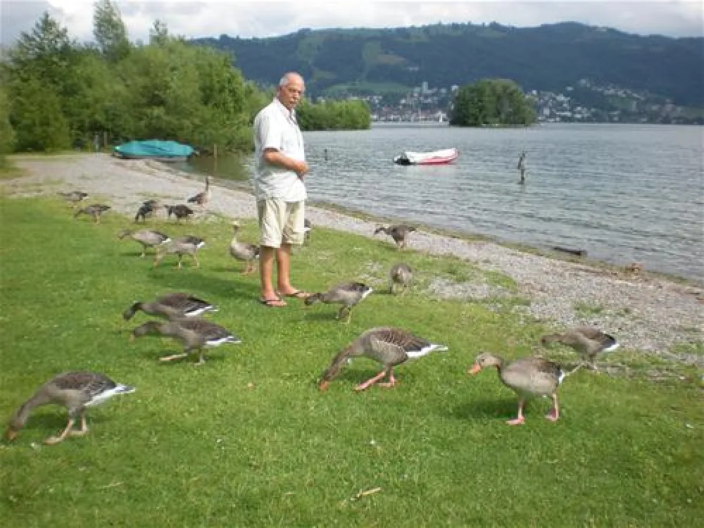 TCS Camping Zugersee