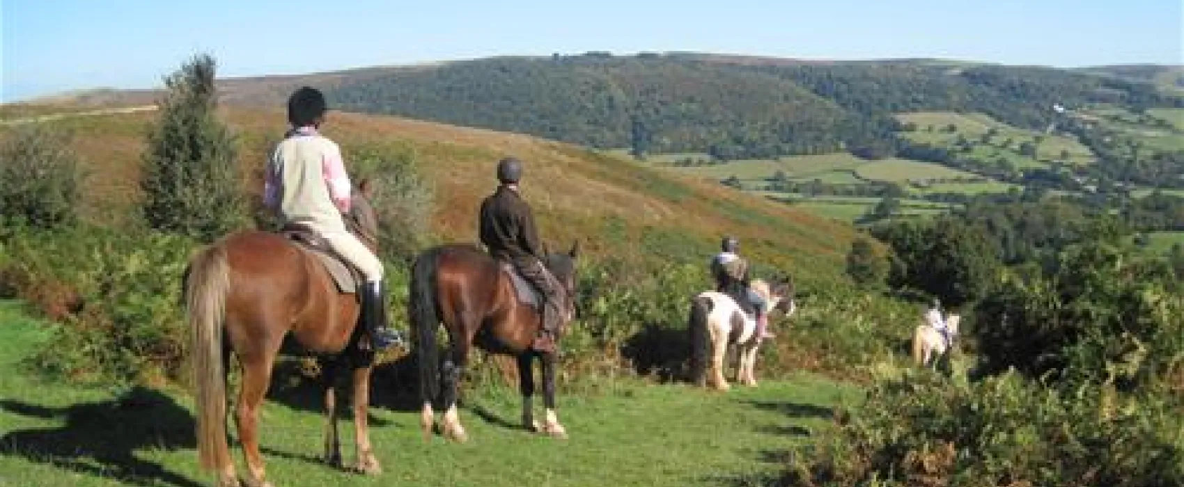 Burrowhayes Farm Caravan and Camping Site