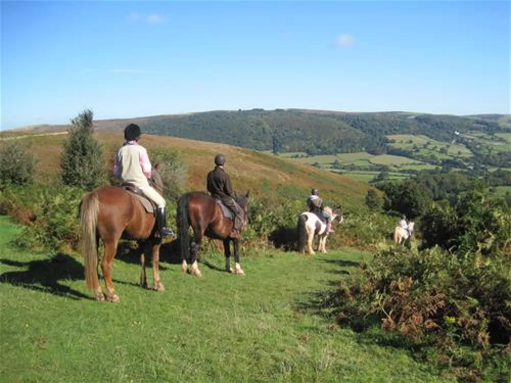 Burrowhayes Farm Caravan and Camping Site