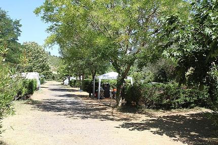 Quels sont les équipements dont dispose Camping Les Vals ? photo 5