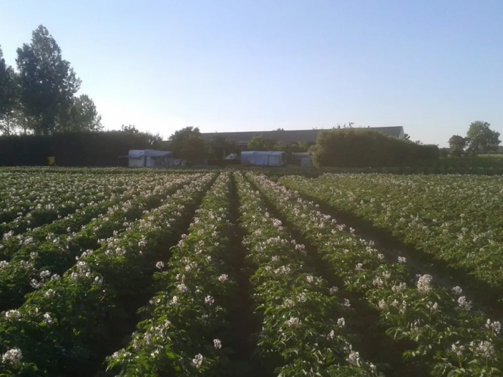 Camping Lambrechtshoeve