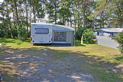 zelt 4 personen adventuridge Campingzelt Camping GEAR GODS RIGGED - 4-persoons tent Größe:11,0