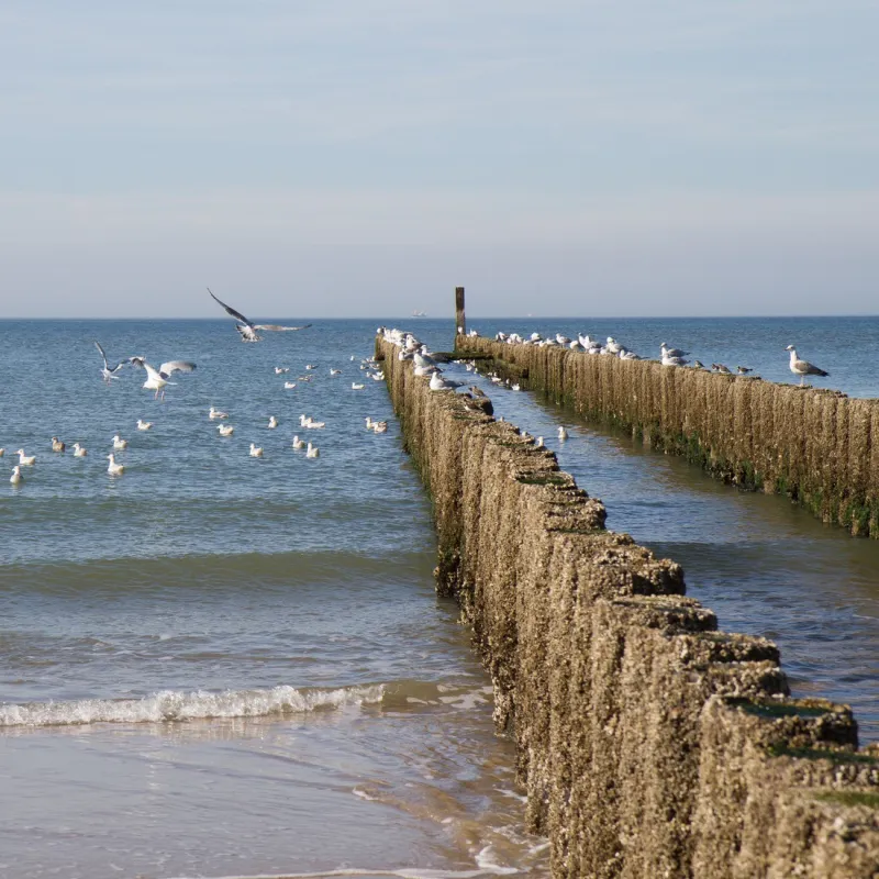 Minicamping de Vuurtoren