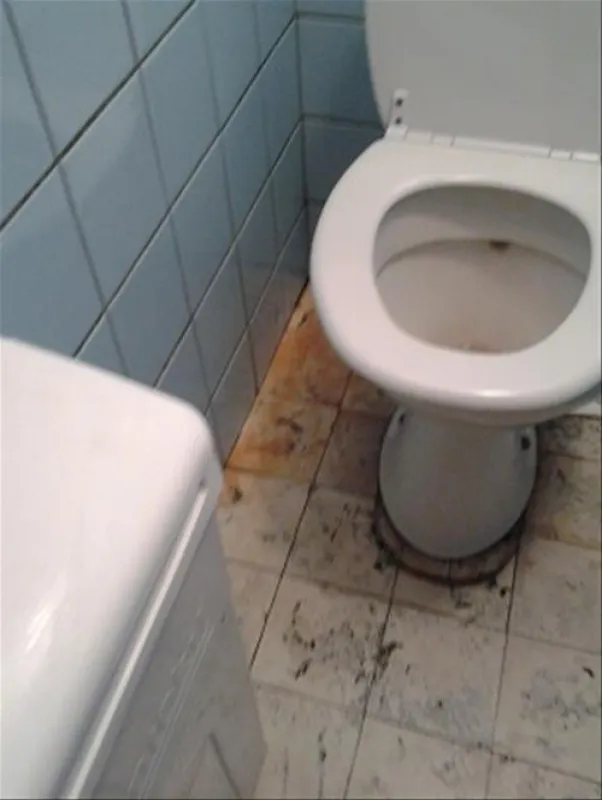 Kampeerverblijfpark Mijn Plezier