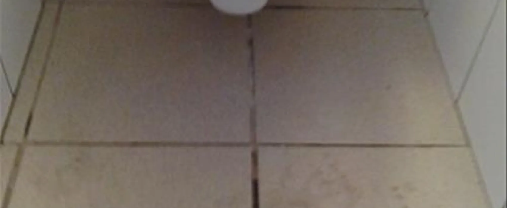 Kampeerverblijfpark Mijn Plezier