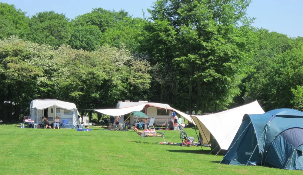 Camping Vogelenzang